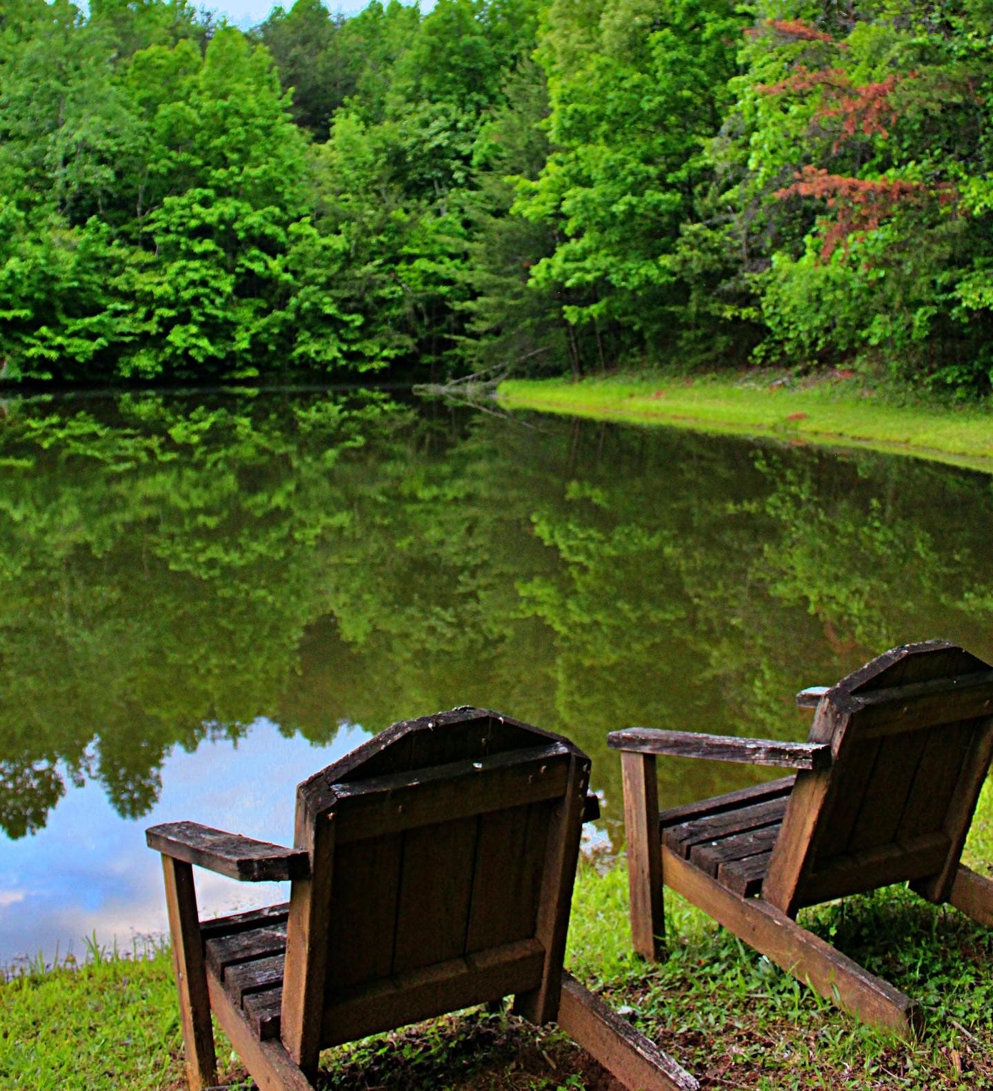 Two adirondack-style chairs overlooking a tranquil pond surrounding by lush green trees.