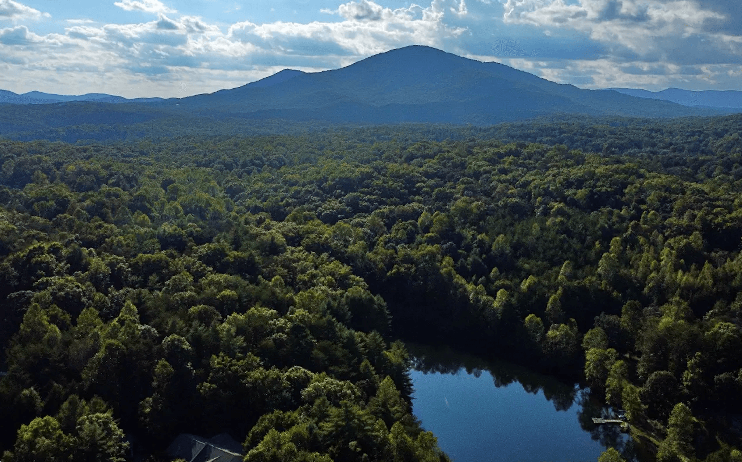 Aerial view of a lush green forest with a mountain backdrop and a tranquil lake.