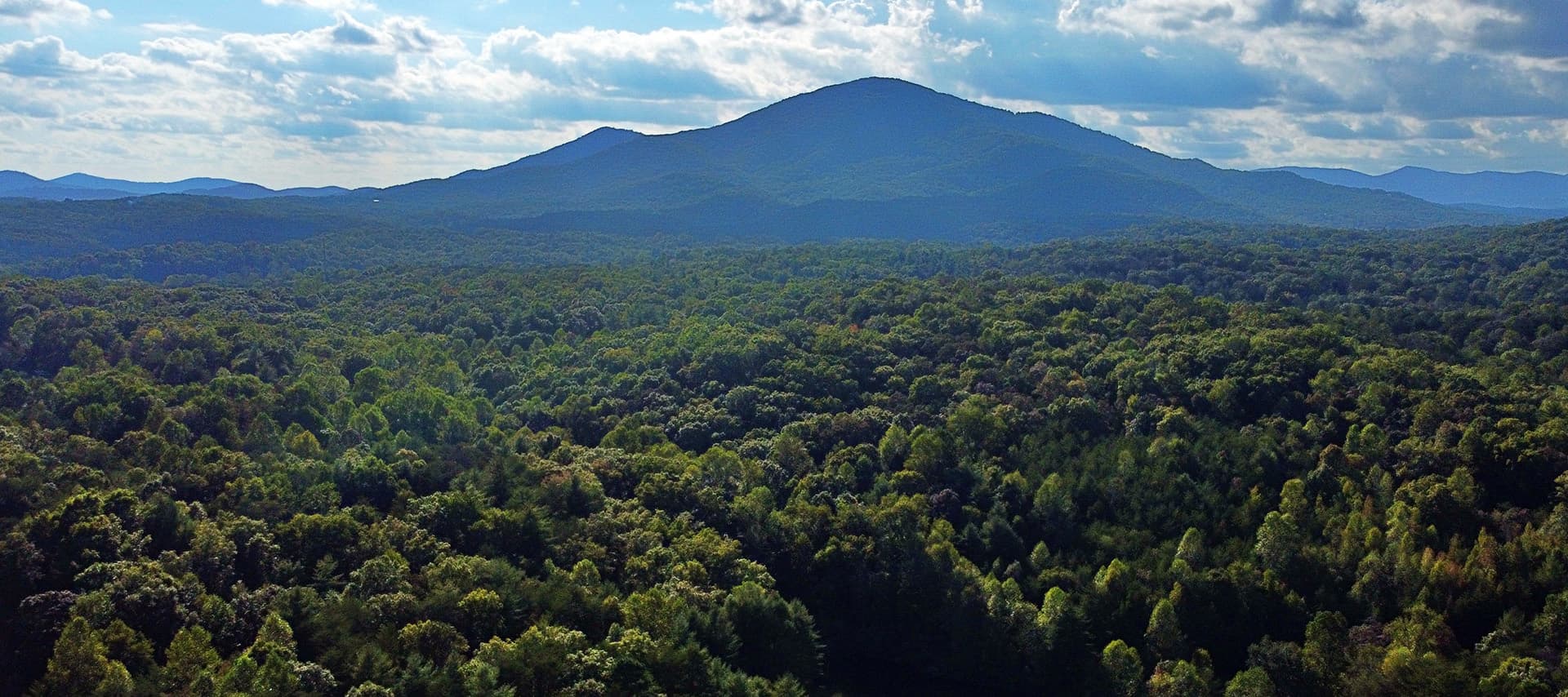 A panoramic view of lush green forests with mountains in the background under a partly cloudy sky.