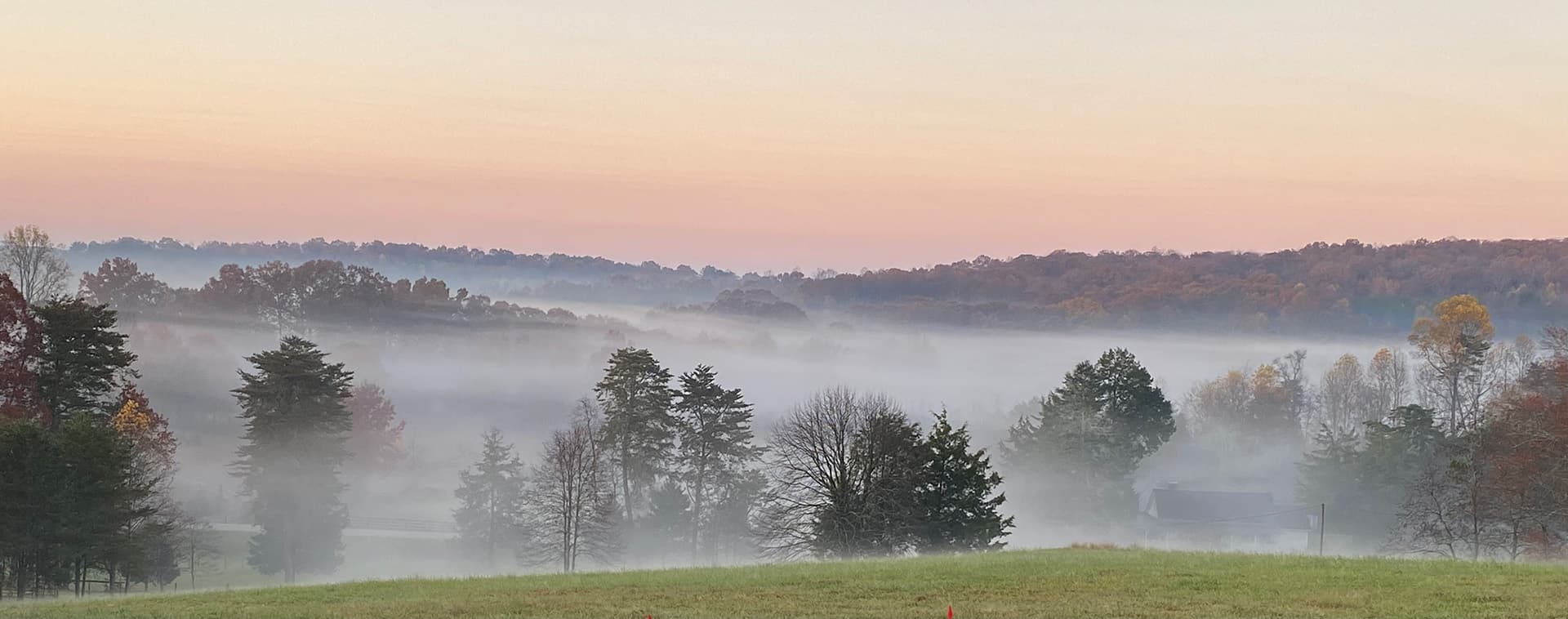 A misty landscape at dawn with trees silhouetted against a pastel sky.